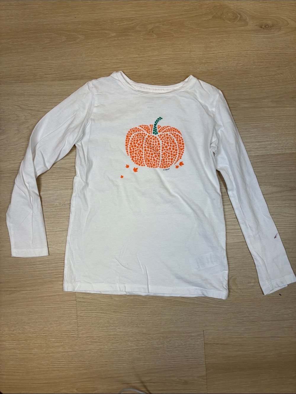 Crewcuts White Long-Sleeve Tee with Orange Fall Leaves Pumpkin